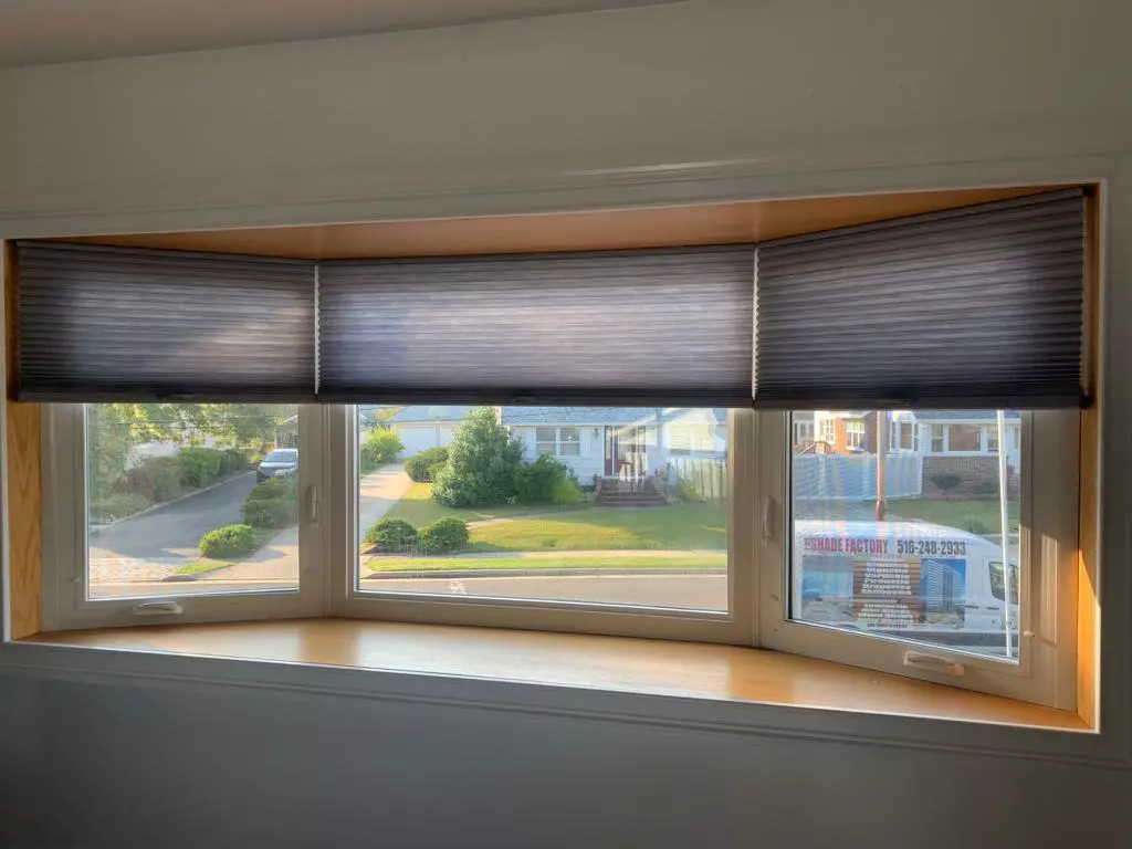 Home window blinds