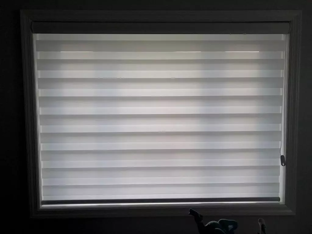 Elegant window blinds