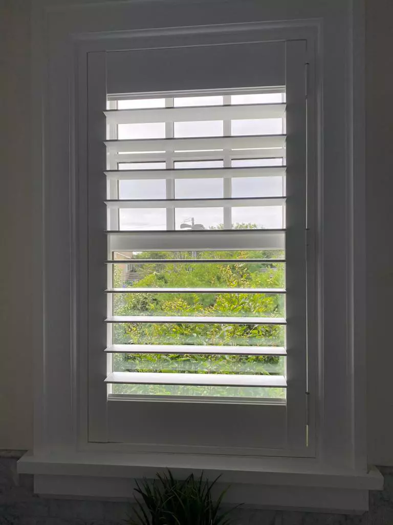 Shades for home windows